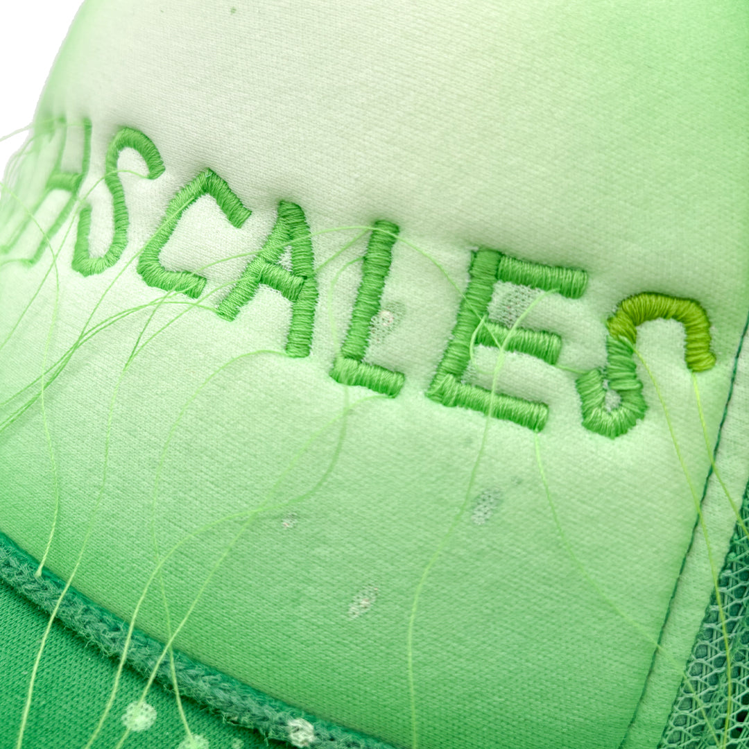 FISH SCALES
