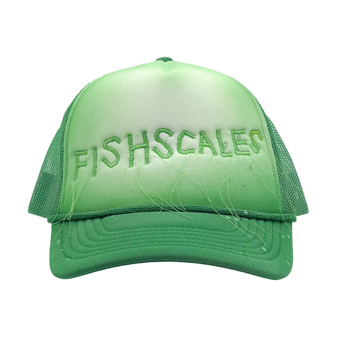 FISH SCALES